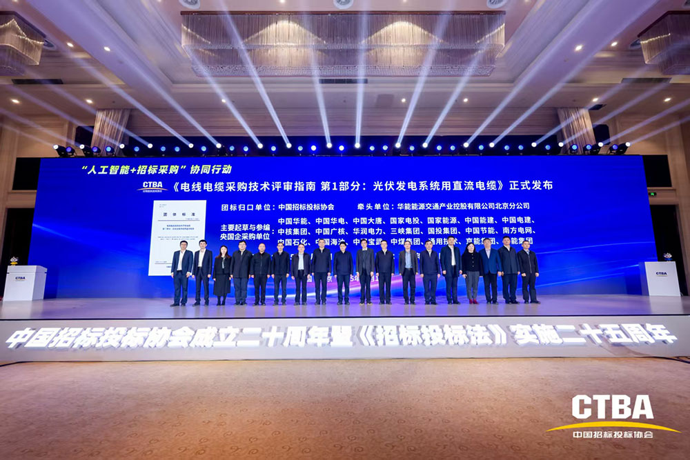 1765715035106042462.jpg 电线挂网.jpg